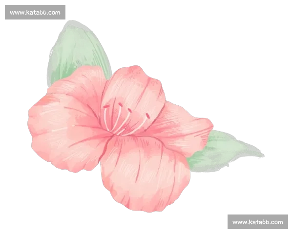 飒！粉色 “她铁”：碧波上绽放的女性力量