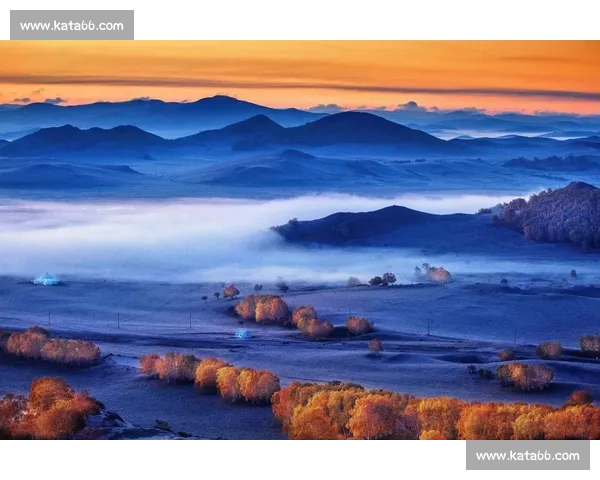 晨雾与羽翅：鸟里的早安启示